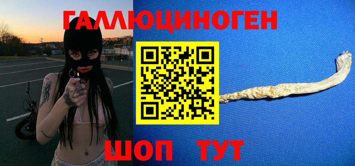 Псилоцибиновые грибы мицелий  Вход с VPN  Прохладный  Псилоцибиновые грибы Cubensis 