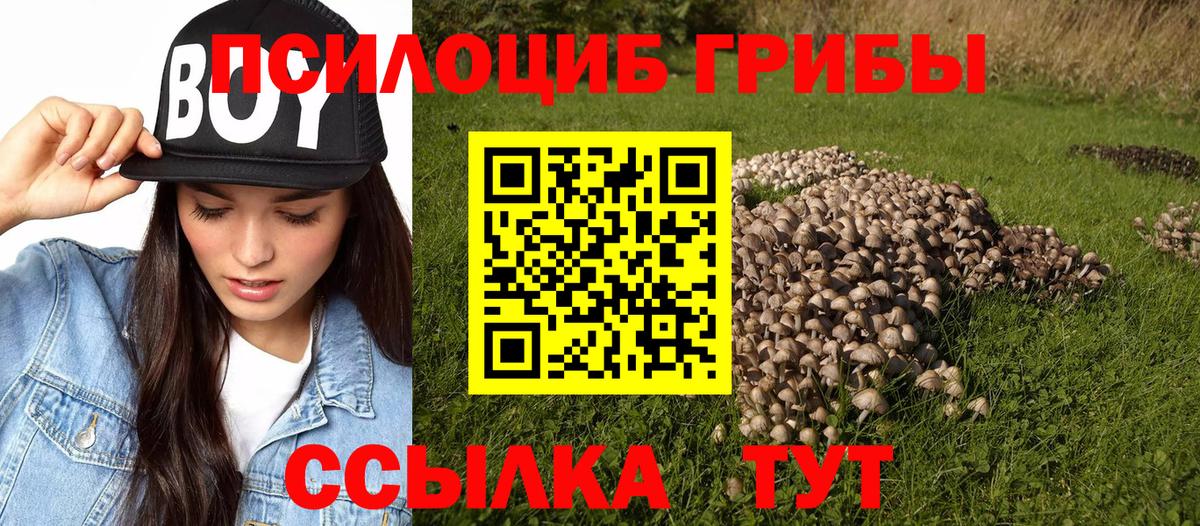 Галлюциногенные грибы MAGIC MUSHROOMS Прохладный
